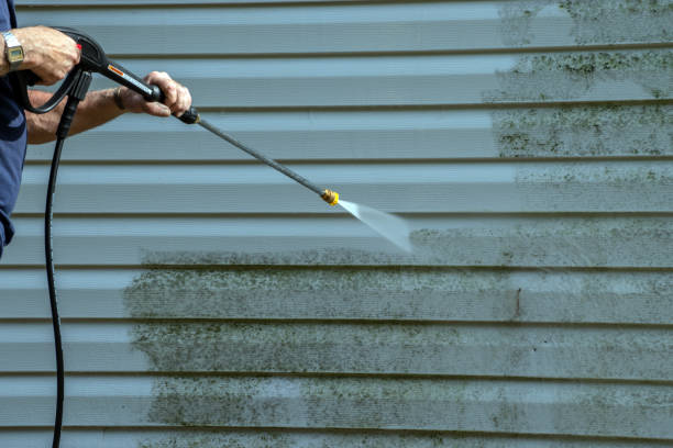 Best Gutter Cleaning and Brightening in Van Buren, MO