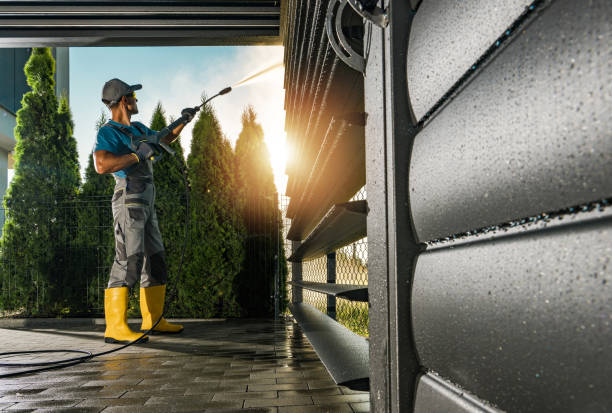 Best Driveway Cleaning and Restoration in Van Buren, MO